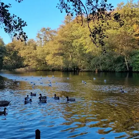 6 Person In Brenderup Fyn-by Traum