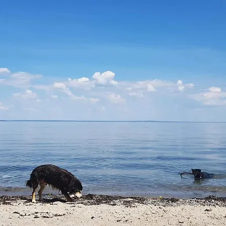 6 Person In Brenderup Fyn-by Traum Vedelshave