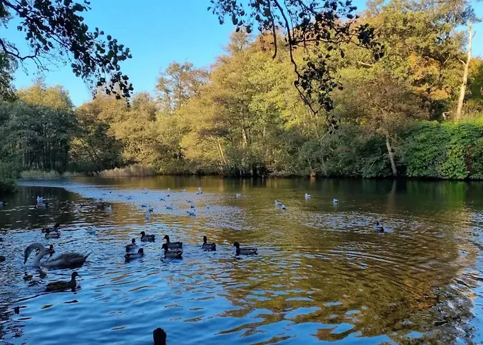 6 Person In Brenderup Fyn-by Traum