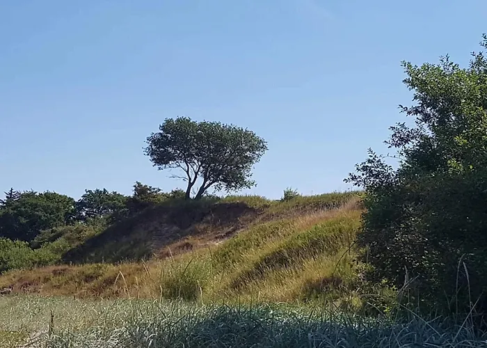 Holiday home 6 Person In Brenderup Fyn-by Traum