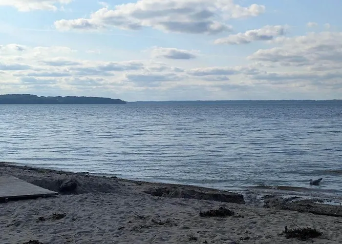 6 Person In Brenderup Fyn-by Traum * Vedelshave