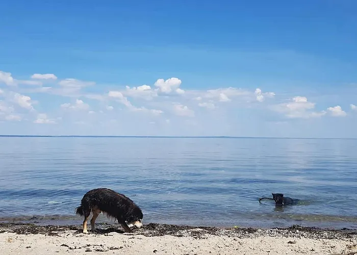 6 Person In Brenderup Fyn-by Traum Vedelshave